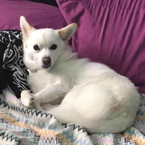 Meet your Posher, Gary - Picture 1 of 8